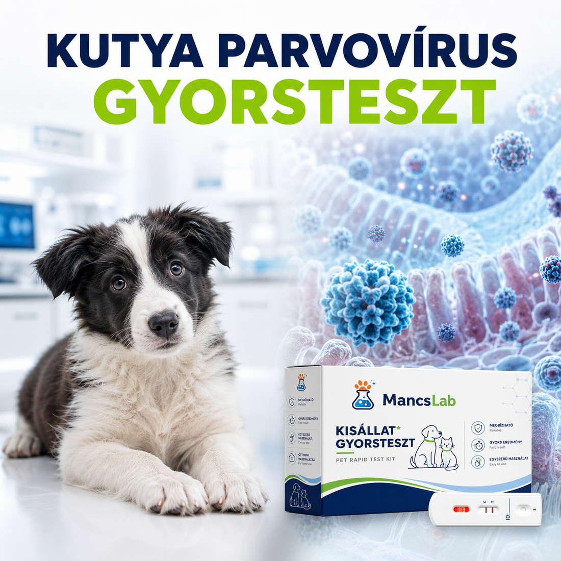 MancsLab CPV canine parvovirus antigen rapid test – packaging and test cassette