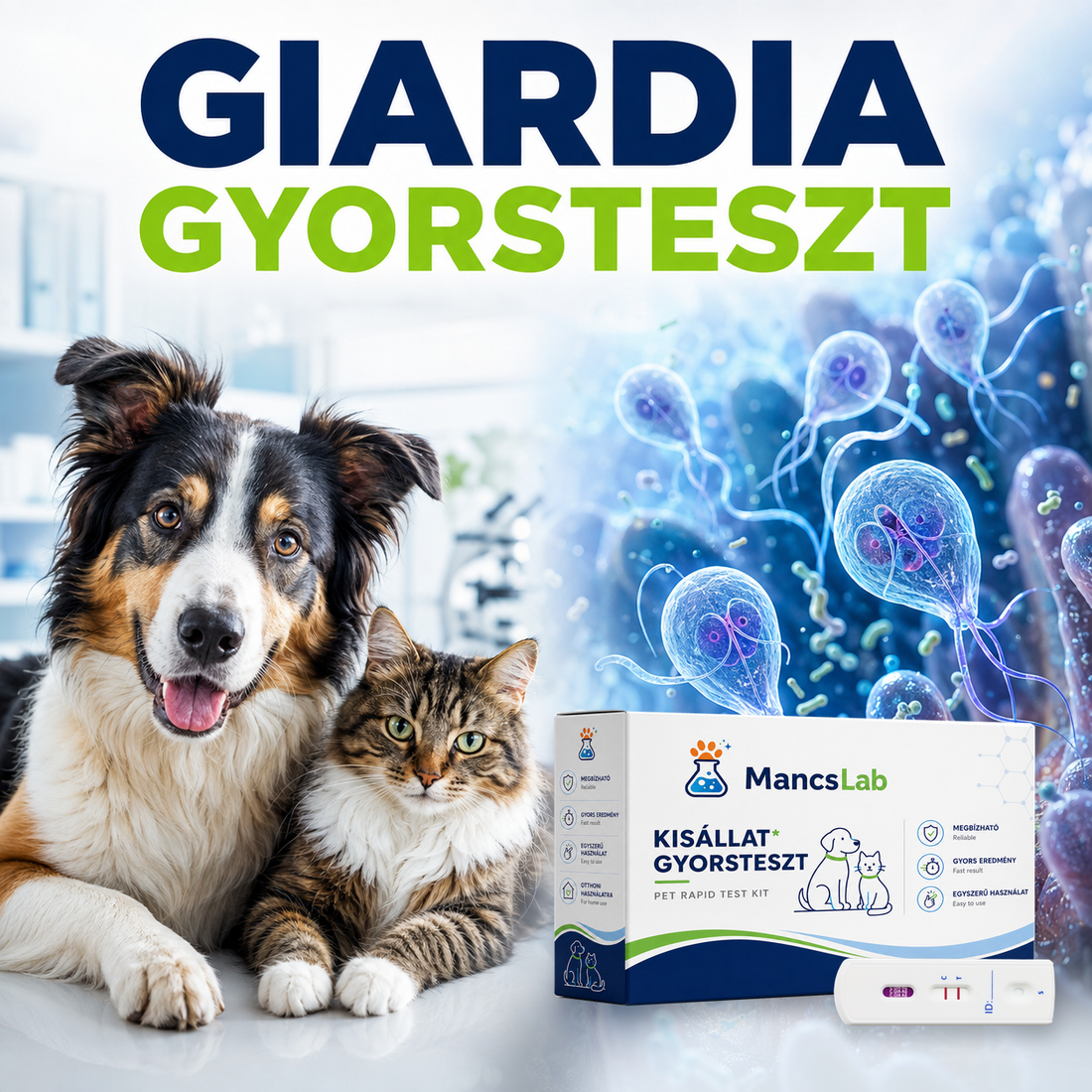 MancsLab Giardien-Antigen-Schnelltest für Hunde und Katzen – Verpackung und Testkassette