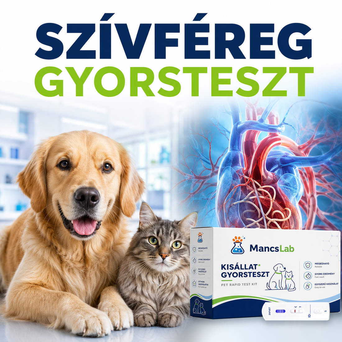 MancsLab HW Herzwurm-Antigen-Schnelltest für Hunde und Katzen – Verpackung und Testkassette