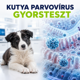 MancsLab CPV canine parvovirus antigen rapid test – packaging and test cassette