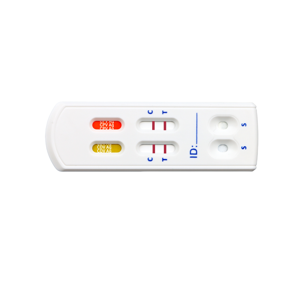 MancsLab CPV/CDV 2-in-1 parvovirus and distemper rapid test for dogs – close-up of the Safvet test cassette