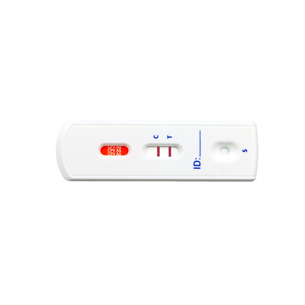 MancsLab CPV canine parvovirus antigen rapid test – close-up of the Safvet test cassette
