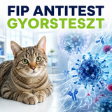 MancsLab FIPV Ab feline coronavirus antibody rapid test – packaging and test cassette
