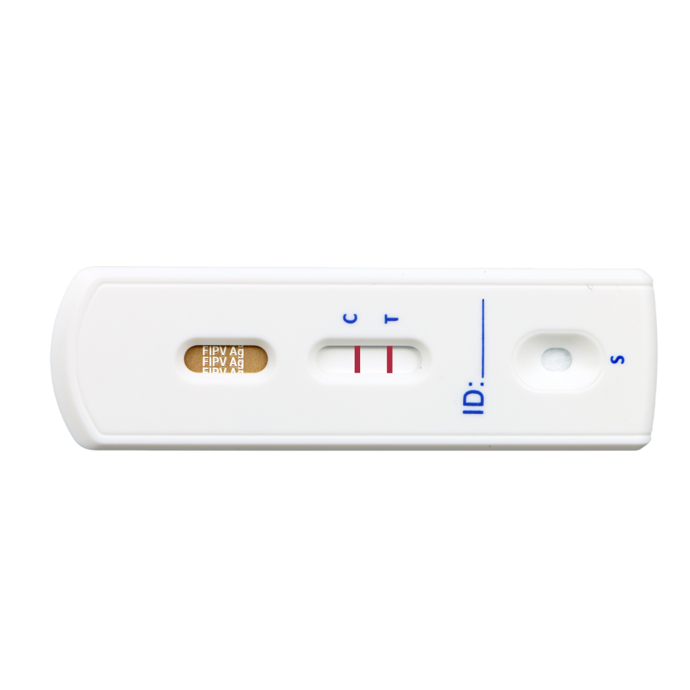 MancsLab FIPV Ag feline coronavirus antigen rapid test – close-up of the Safvet test cassette
