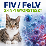 MancsLab FIV-Antikörper/FeLV-Antigen-Kombinationstest für Katzen – Verpackung und Testkassette