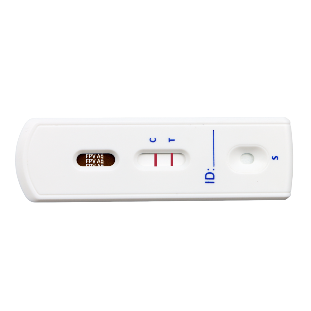 MancsLab FPV Katzenparvovirus-Antigen-Schnelltest – Safvet-Testkassette in Nahaufnahme