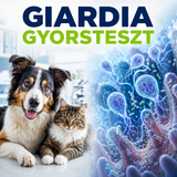 MancsLab Giardien-Antigen-Schnelltest für Hunde und Katzen – Verpackung und Testkassette