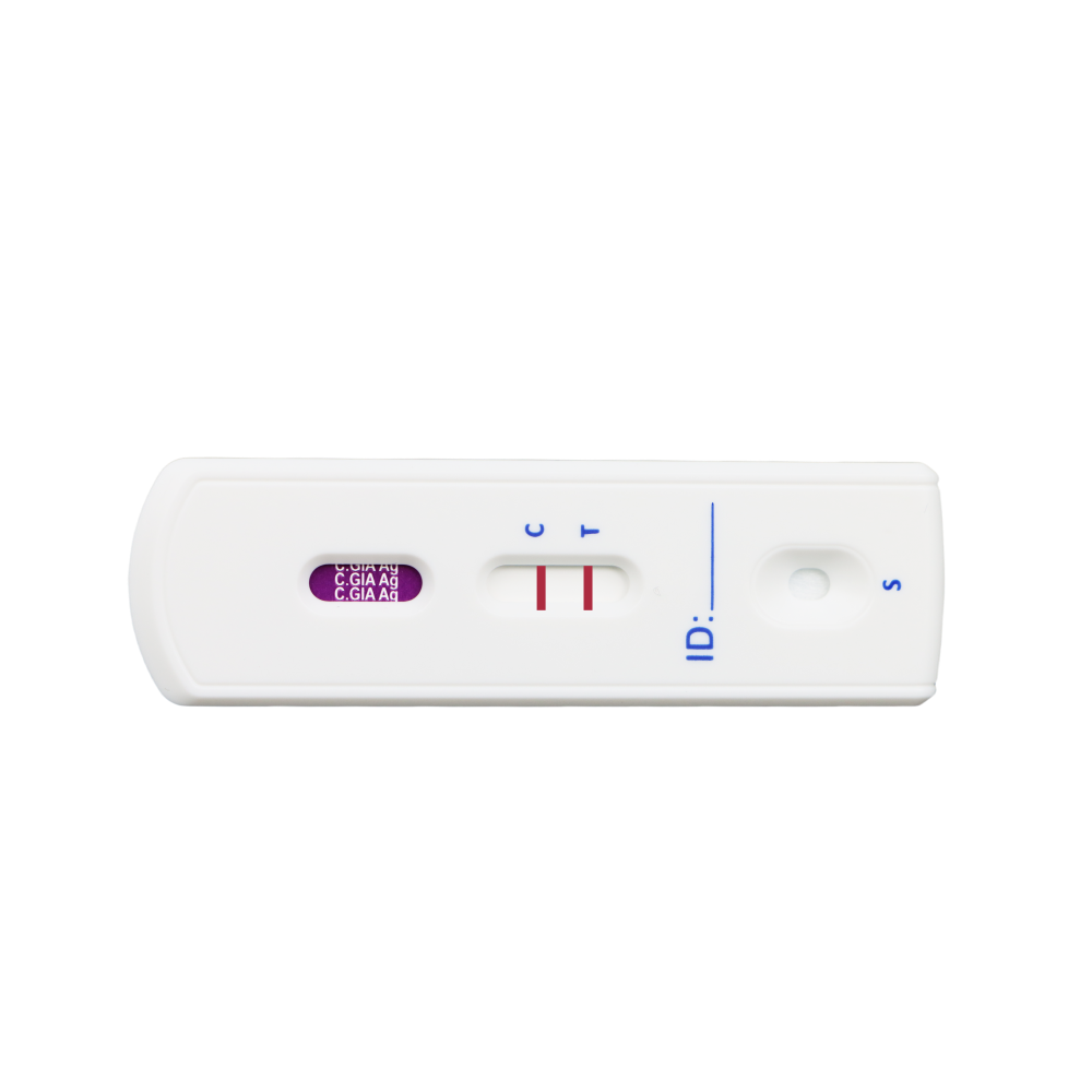 MancsLab Giardien-Antigen-Schnelltest für Hunde und Katzen – Safvet-Testkassette in Nahaufnahme