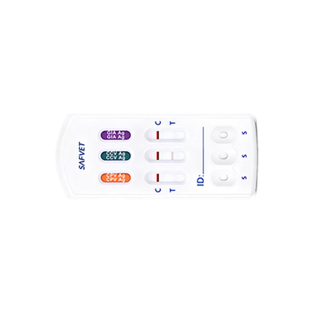 MancsLab CPV/CCV/Giardia 3-in-1 rapid test for dogs – close-up of the Safvet test cassette