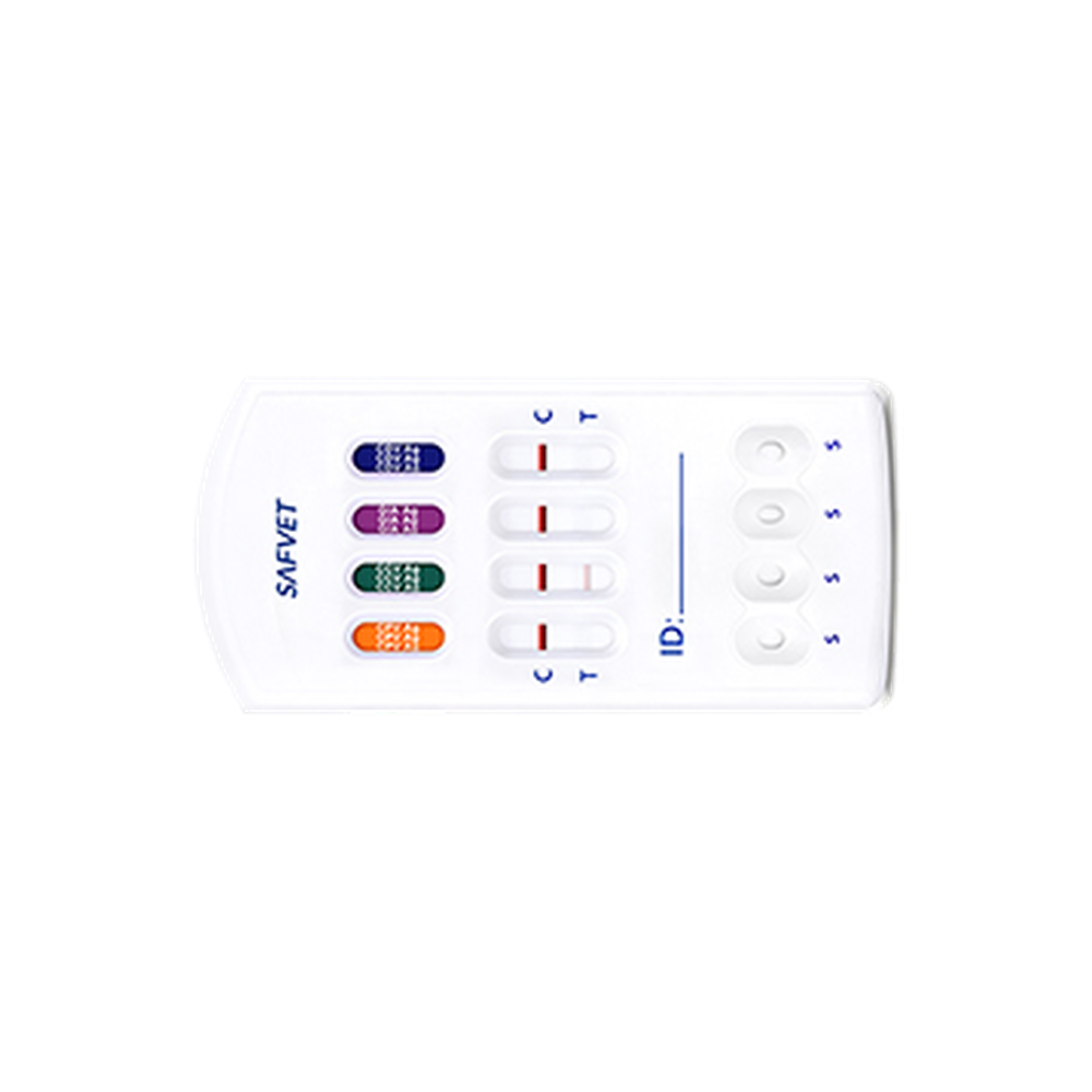 MancsLab CPV/CCV/Giardia/CDV 4-in-1 rapid test for dogs – close-up of the Safvet test cassette