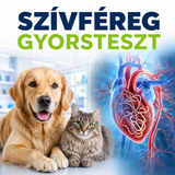 MancsLab HW Herzwurm-Antigen-Schnelltest für Hunde und Katzen – Verpackung und Testkassette